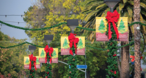 double banner with red Christmas bow hanging on street lights for commercial City Banners