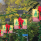 double banner with red Christmas bow hanging on street lights