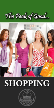 Banner- Shopping banner with 4 woman walking through mall