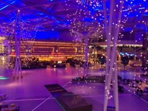 moody outdoor event with purple twinkle lighting