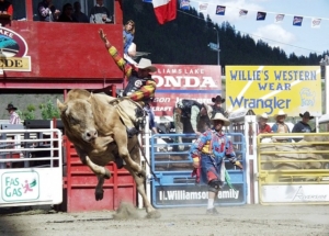 Rodeo rider on bucking bull with banners in background