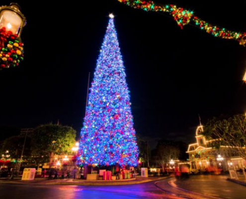 lighted 50 foot outdoor holiday with multi color lightsChristmas tree