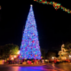 lighted 50 foot outdoor holiday with multi color lightsChristmas tree