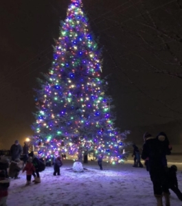 50 foot lighted Christmas tree in public park area