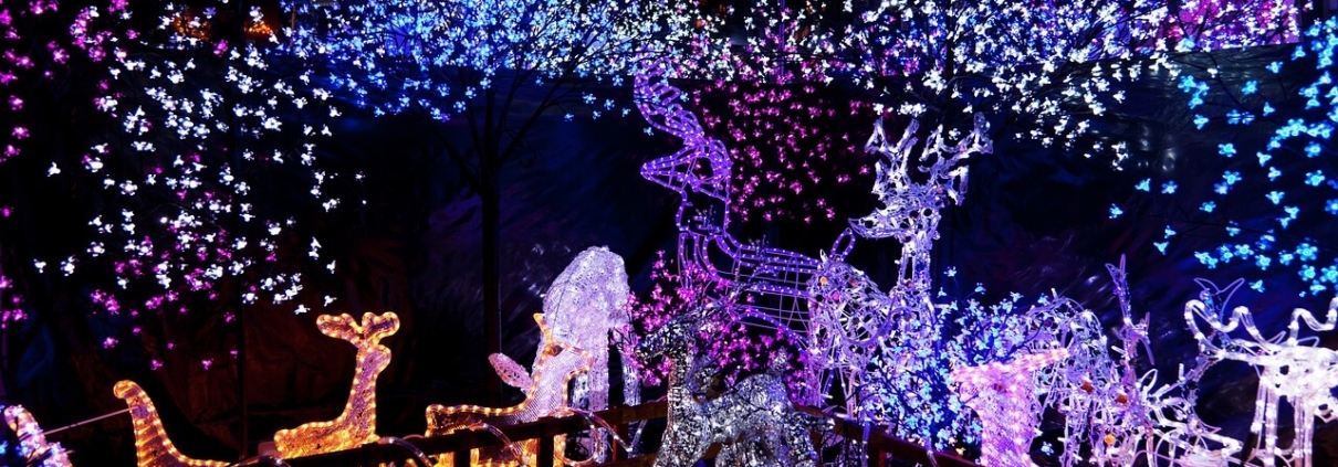 Nighttime Holiday lights decorations with purple tones