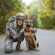 MSD- Blog- Hometown heroes Hometown heroes- Military K9- Service man with military K9 partner- German shepherd