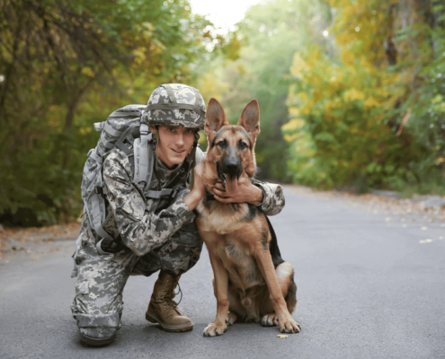Hometown heroes- Military K9- Service man with military K9 partner- German shepherd