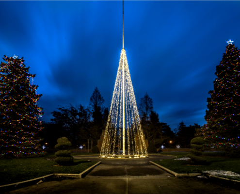 Lighted Outdoor Holiday Tree