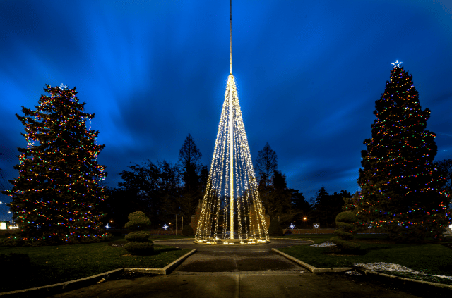 Lighted Outdoor Holiday Tree