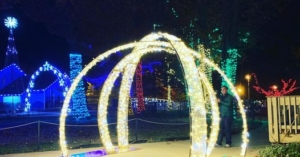 Fibre glass dome from Burr Industries- Mainstreet Designs