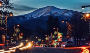 Carpenter Decorating Pole Mount Decorations- Street Light Banners and Decorations MainStreet Designs