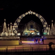 Carpenter Decoratuing Outdoor holiday Decor- MainStreet Designs Inc