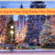Creating Joy In Your City Parks This Christmas- MainStreet Designs Inc.
