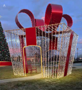 WALKTHROUGH GIFT PACKAGE WITH RED BOW ON TOP