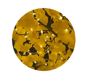 Ginkgo Yellow lighted tree sample