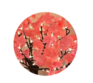 maple pink lighted tree sample