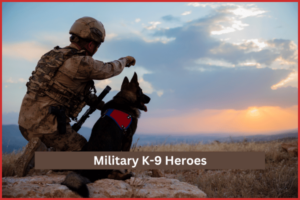 Military K-9 Heroes Banners - Solider with Military Dog