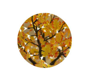 oak yellow-orange lighted tree sample