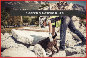 Search & Rescue K-9's - K-9 Heroes Banners