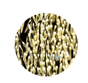 weeping willow clear lighted tree sample