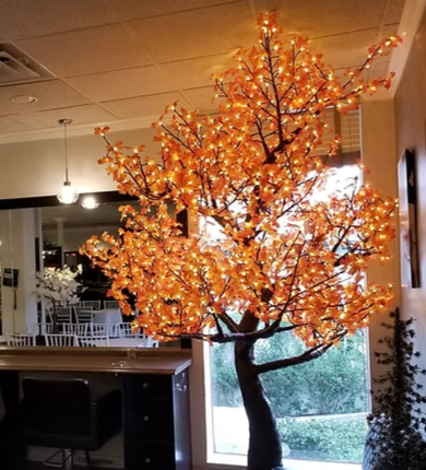 Lighted Trees - orange